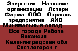 Энергетик › Название организации ­ Астери-Фарма, ООО › Отрасль предприятия ­ АХО › Минимальный оклад ­ 1 - Все города Работа » Вакансии   . Калининградская обл.,Светлогорск г.